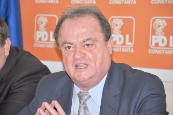 Blaga: PDL este un partid determinat